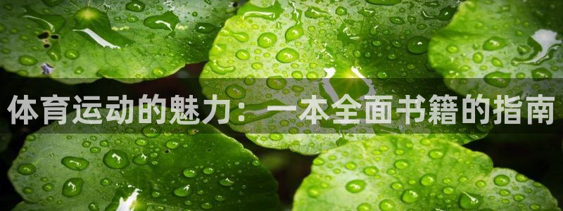 哈哈体育：体育运动的魅力：一本全面书籍的指南