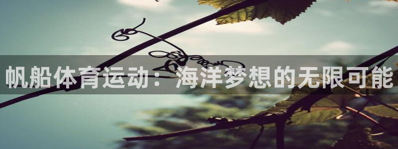 哈哈体育十年：帆船体育运动：海洋梦想的无限可能