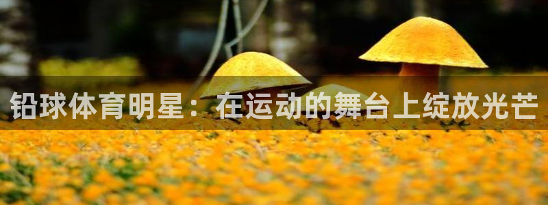 哈哈体育下载：铅球体育明星：在运动的舞台上绽放光芒