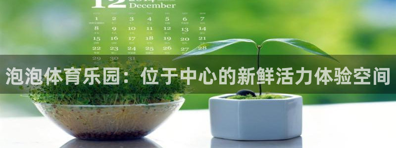 哈哈体育：泡泡体育乐园：位于中心的新鲜活力体验空间