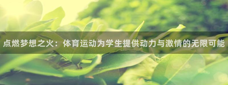 哈哈体育下载：点燃梦想之火：体育运动为学生提供动力与激情的无限可能