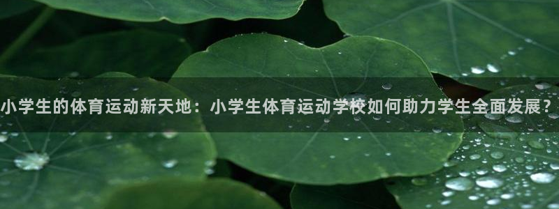 哈哈体育十年：小学生的体育运动新天地：小学生体育运动学校如何助力学生全面发展？