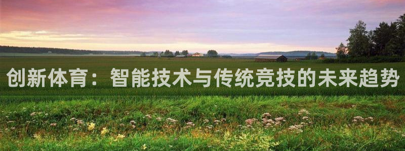 哈哈体育十年：创新体育：智能技术与传统竞技的未来趋势