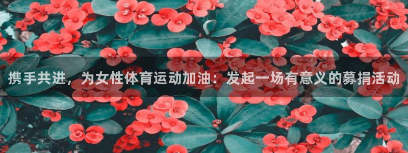哈哈体育：携手共进，为女性体育运动加油：发起一场有意义的募捐活动
