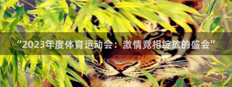 哈哈体育十年：“2023年度体育运动会：激情竞相绽放的盛会”
