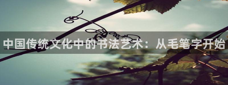 哈哈体育十年：中国传统文化中的书法艺术：从毛笔字开始