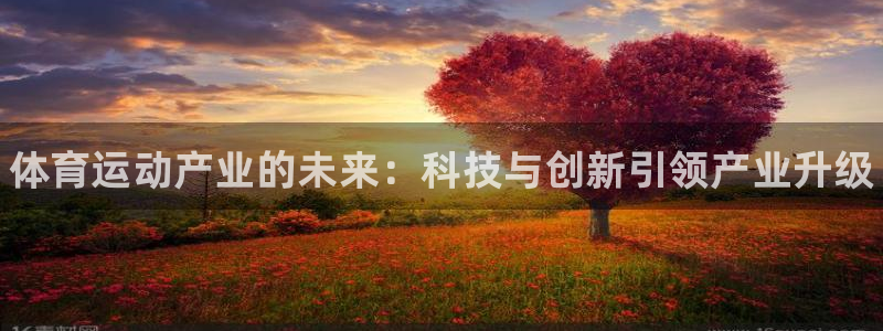 哈哈体育：体育运动产业的未来：科技与创新引领产业升级