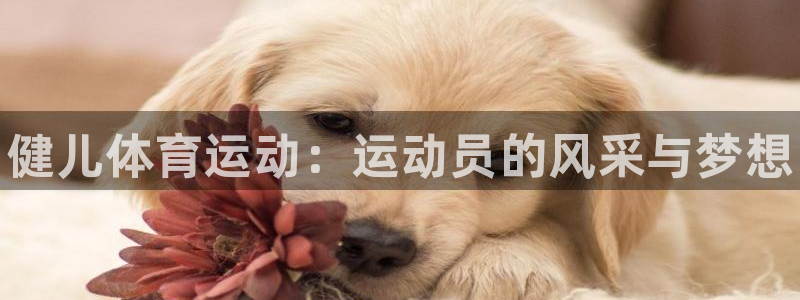 哈哈体育十年：健儿体育运动：运动员的风采与梦想