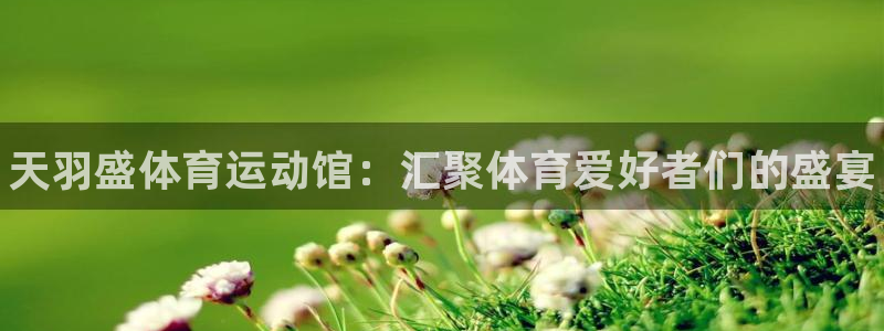哈哈体育：天羽盛体育运动馆：汇聚体育爱好者们的盛宴