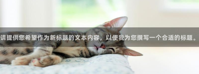 哈哈体育下载：请提供您希望作为新标题的文本内容，以便我为您撰写一个合适的标题。