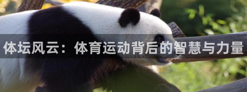 哈哈体育下载：体坛风云：体育运动背后的智慧与力量