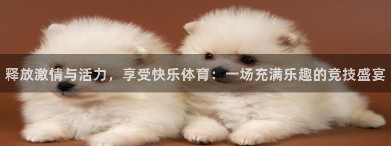 哈哈体育下载：释放激情与活力，享受快乐体育：一场充满乐趣的竞技盛宴
