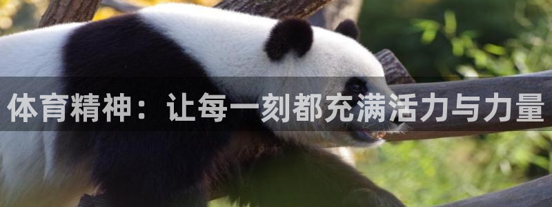 哈哈体育：体育精神：让每一刻都充满活力与力量