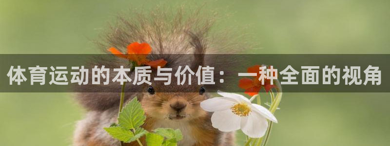 哈哈体育：体育运动的本质与价值：一种全面的视角